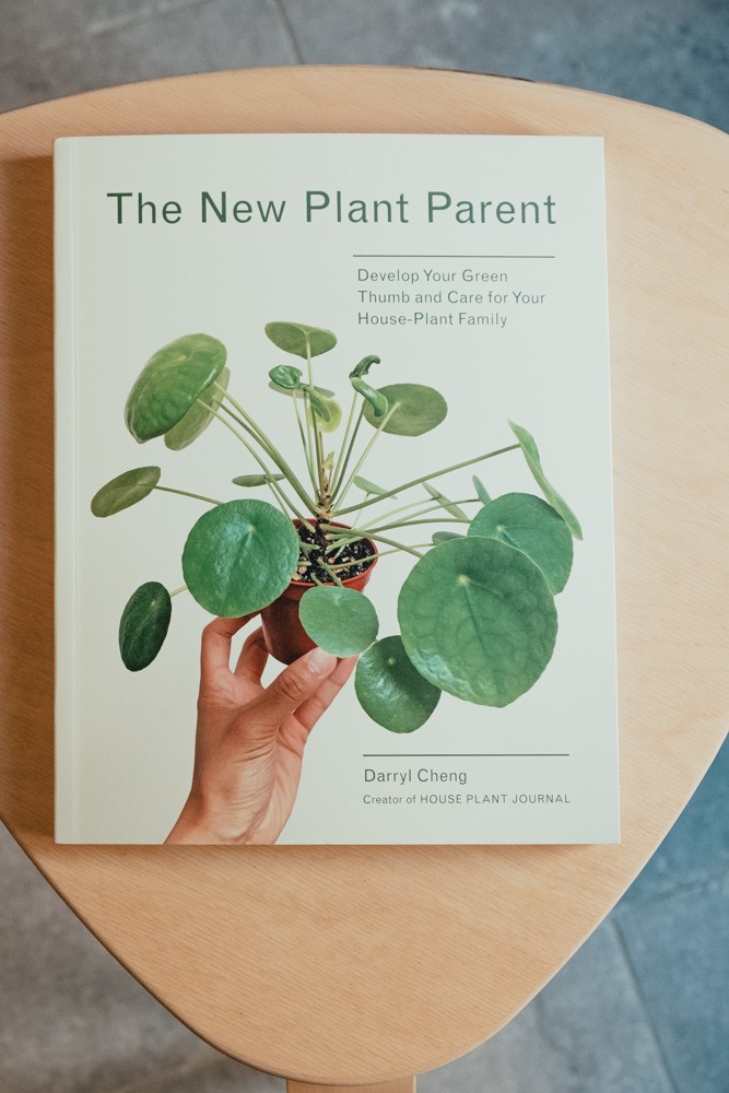 The New Plant Parent: Develop Your Green Thumb and Care for Your House